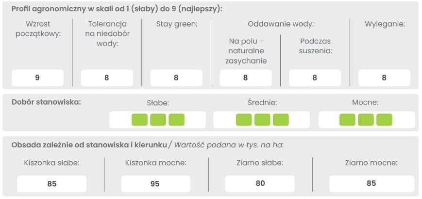 Profil odmiany kukurydzy SM Ruten