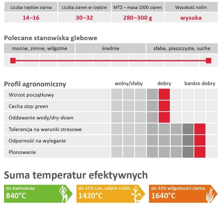 Profil odmiany kukurydzy LG 31.263