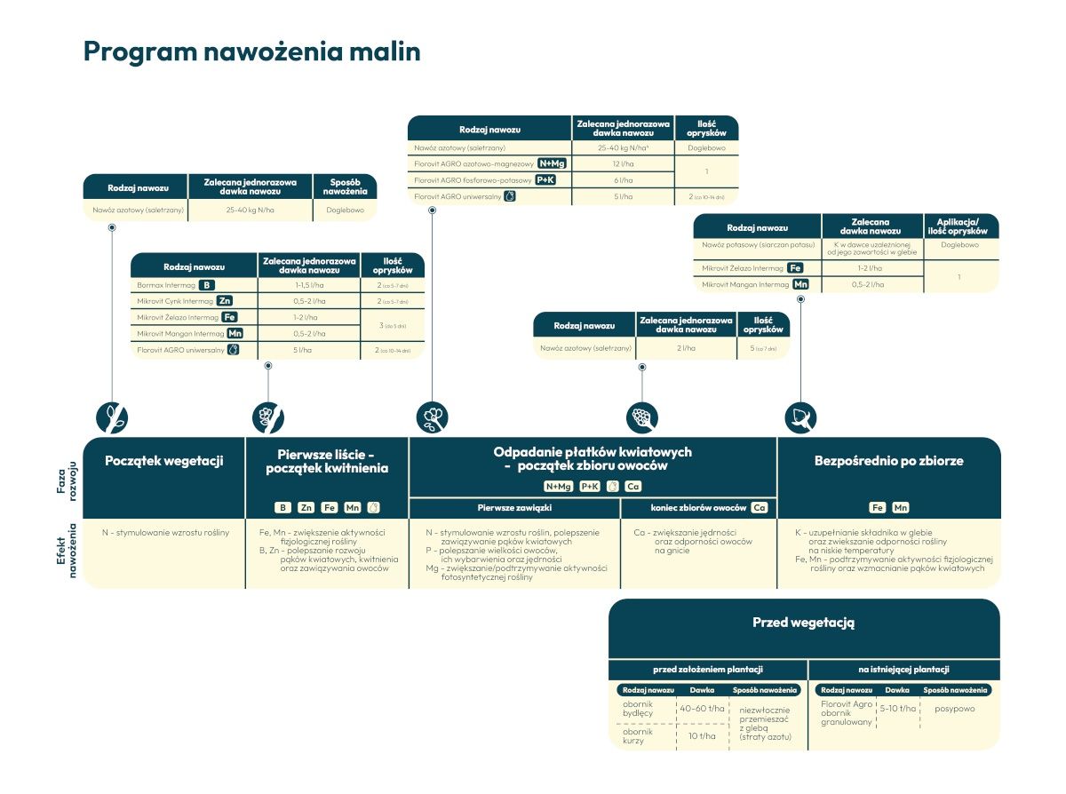 Program nawożenia malin Program nawożenia malin