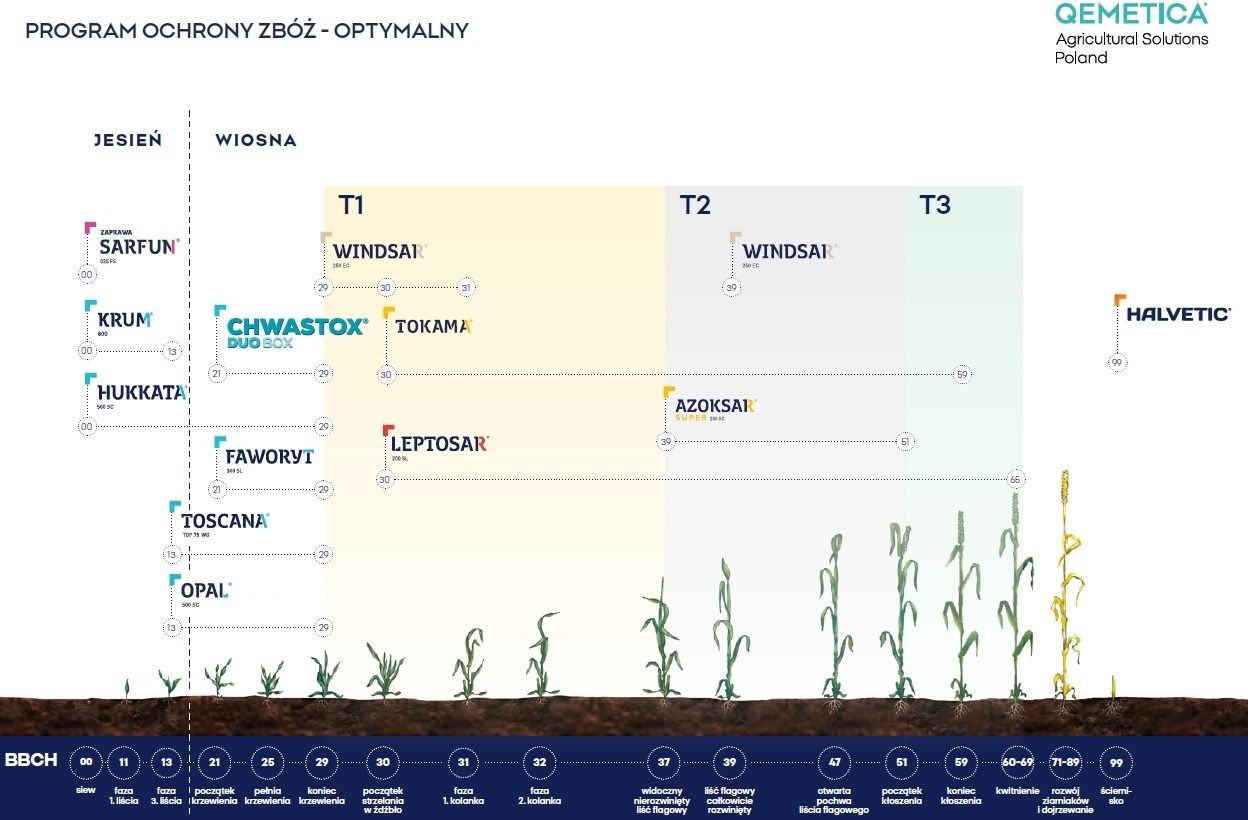 Program ochrony zbóż