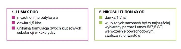 Skład zestawu lumax duo pak