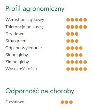 Profil agronomiczny kukurydzy SM Mieszko