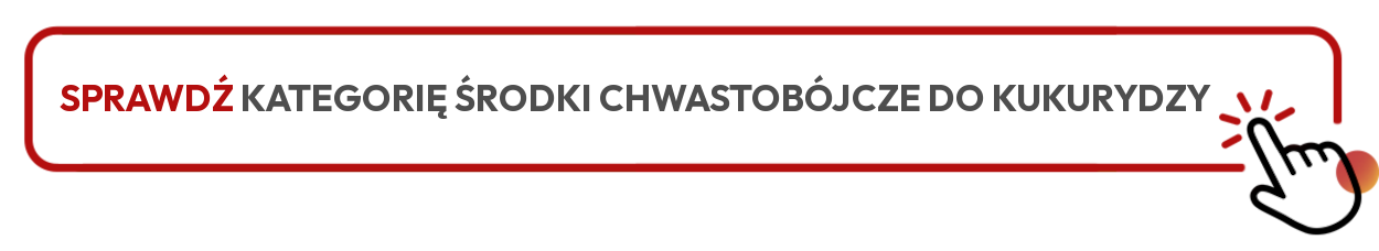 sprawdź kategorię środki chwastob&oacute;jcze do kukurydzy