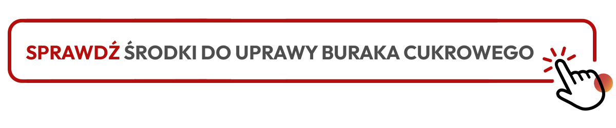 sprawdź kategorię środki do uprawy buraka cukrowego sprawdź kategorię środki do uprawy buraka cukrowego