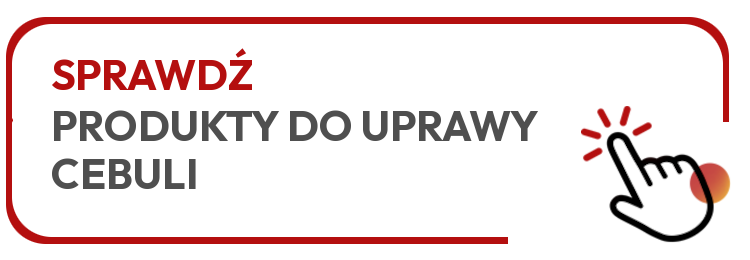 Sprawdź produkty do uprawy cebuli