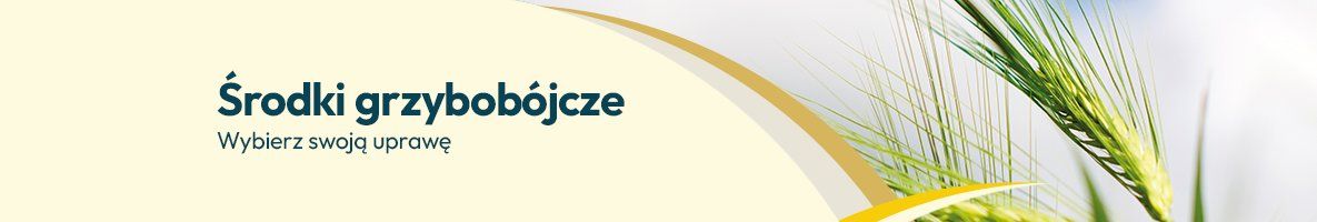 Środki grzybobójcze Środki grzybobójcze - Grafika