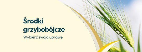 Środki grzybobójcze Środki grzybobójcze - Grafika