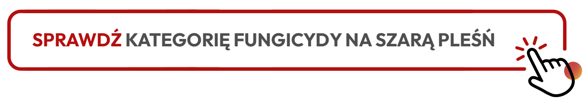 Sprawdź kategorię fungicydy na szarą pleśń Sprawdź kategorię fungicydy na szarą pleśń