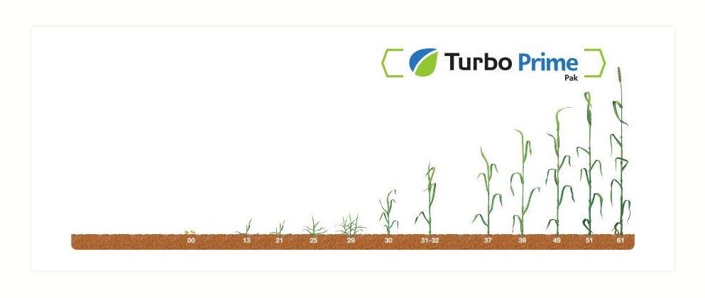 Termin stosowania Turbo Prime Pak Syngenta
