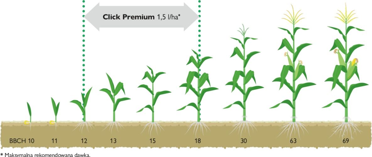 Stosowanie Click Premium