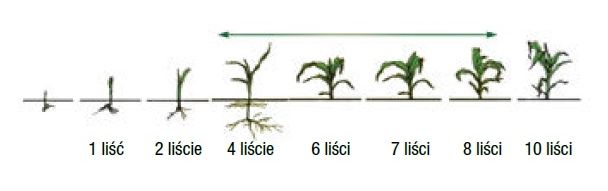 Termin stosowania Lumax Duo Pak Syngenta