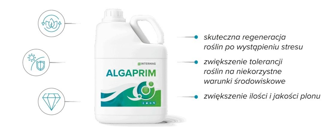 Zalety Algaprim Intermag