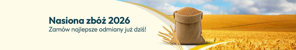 Zboże 2026 Zboże 2026 - Grafika