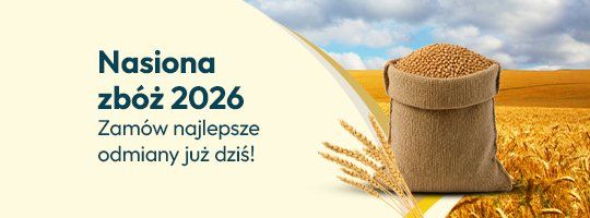Zboże 2026 Zboże 2026 - Grafika